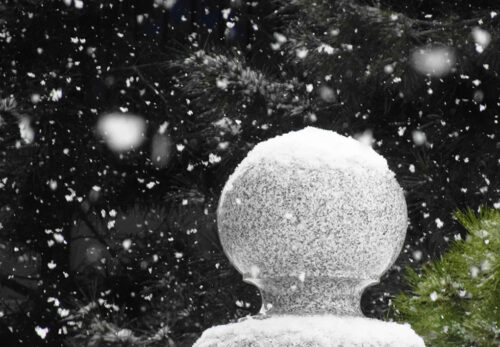 春彼岸中日法要のご報告　「くらしと供養の相談」開設