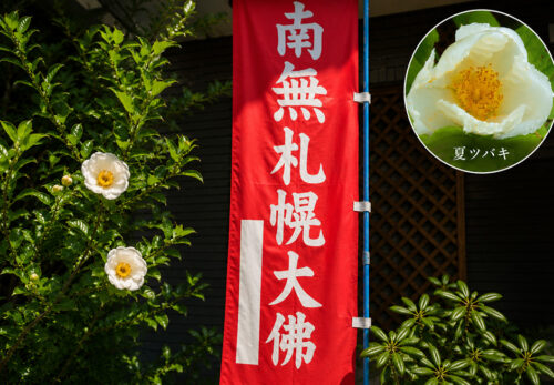 お盆の迎え火・竹灯籠